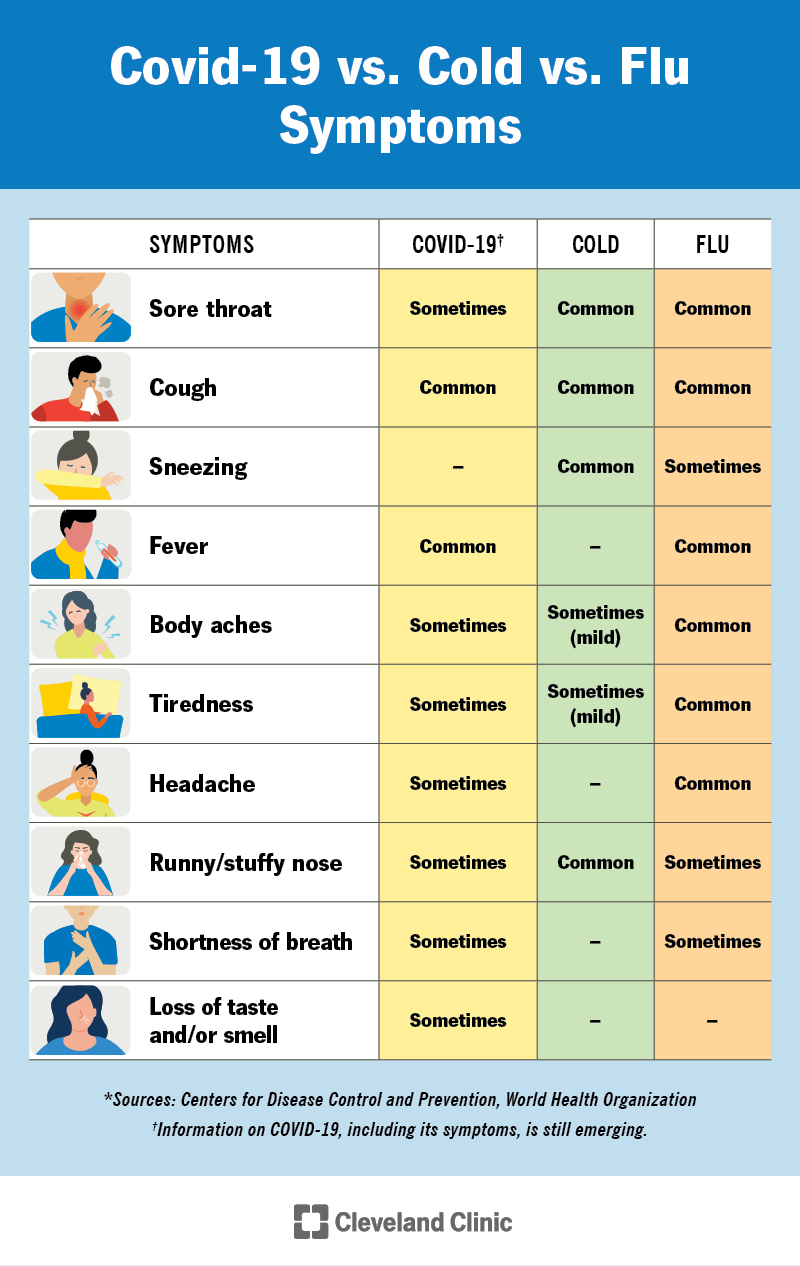 Gambar artikel Influenza tipe A bisakah dibantu disembuhkan oleh madu kelulut ini ?